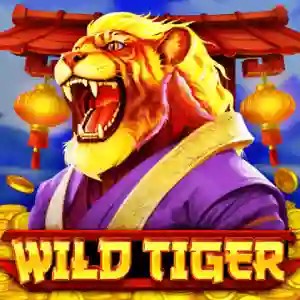 Wild Tiger by BGAMING, showcased at alf-casino.pl – game logo